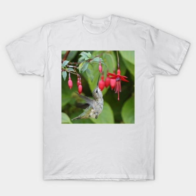 Hummingbird fuchsias T-Shirt by SandiLin